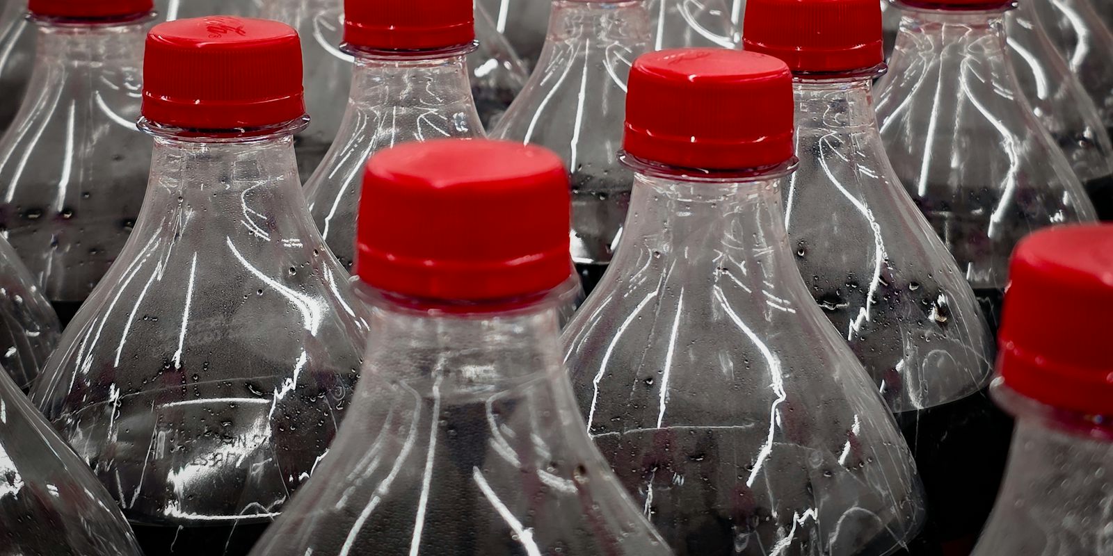 Botellas de plástico con tapa roja alineadas en una línea de producción
