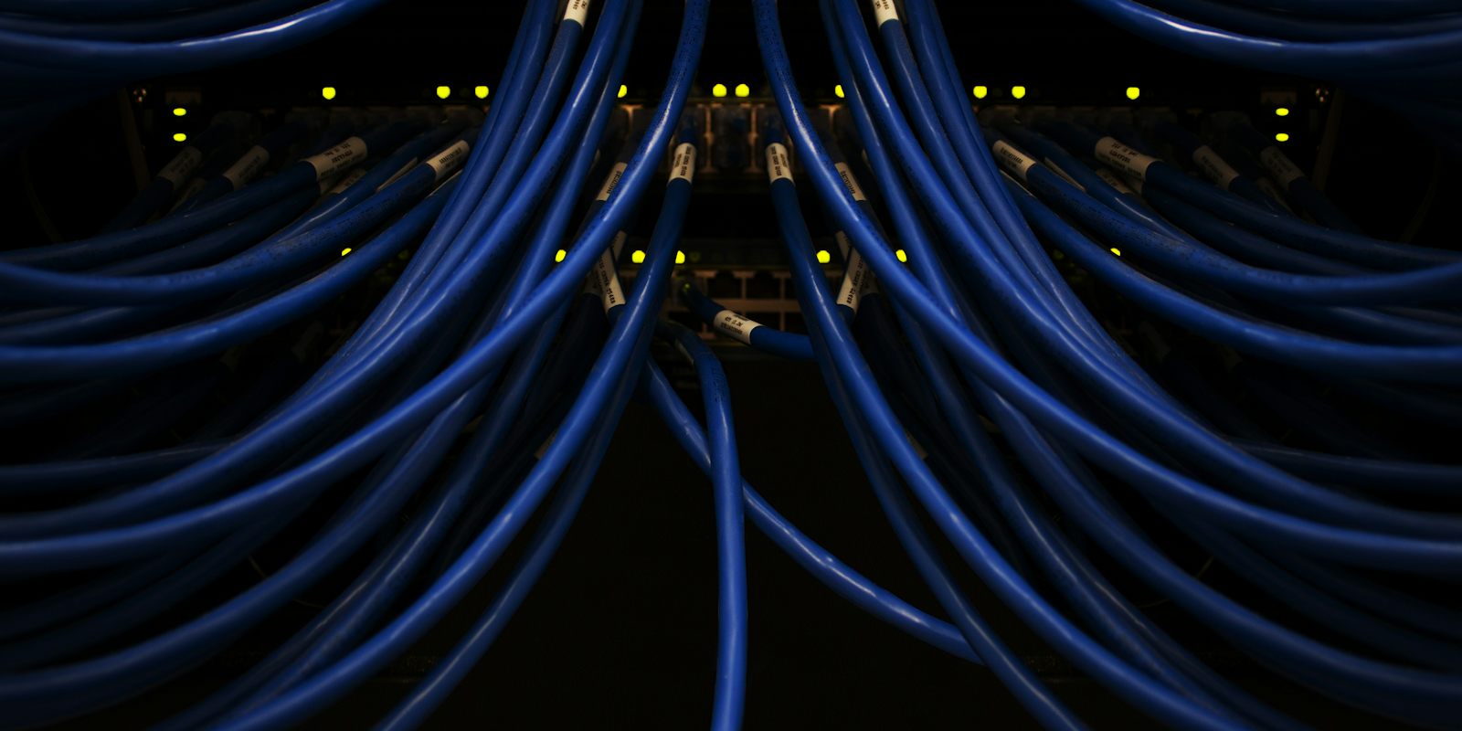 Cables de red azules conectados a un servidor