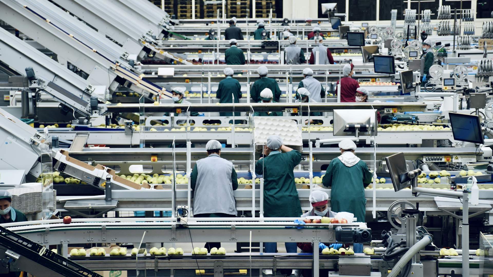 Línea de producción con operarios de espaldas seleccionando producto